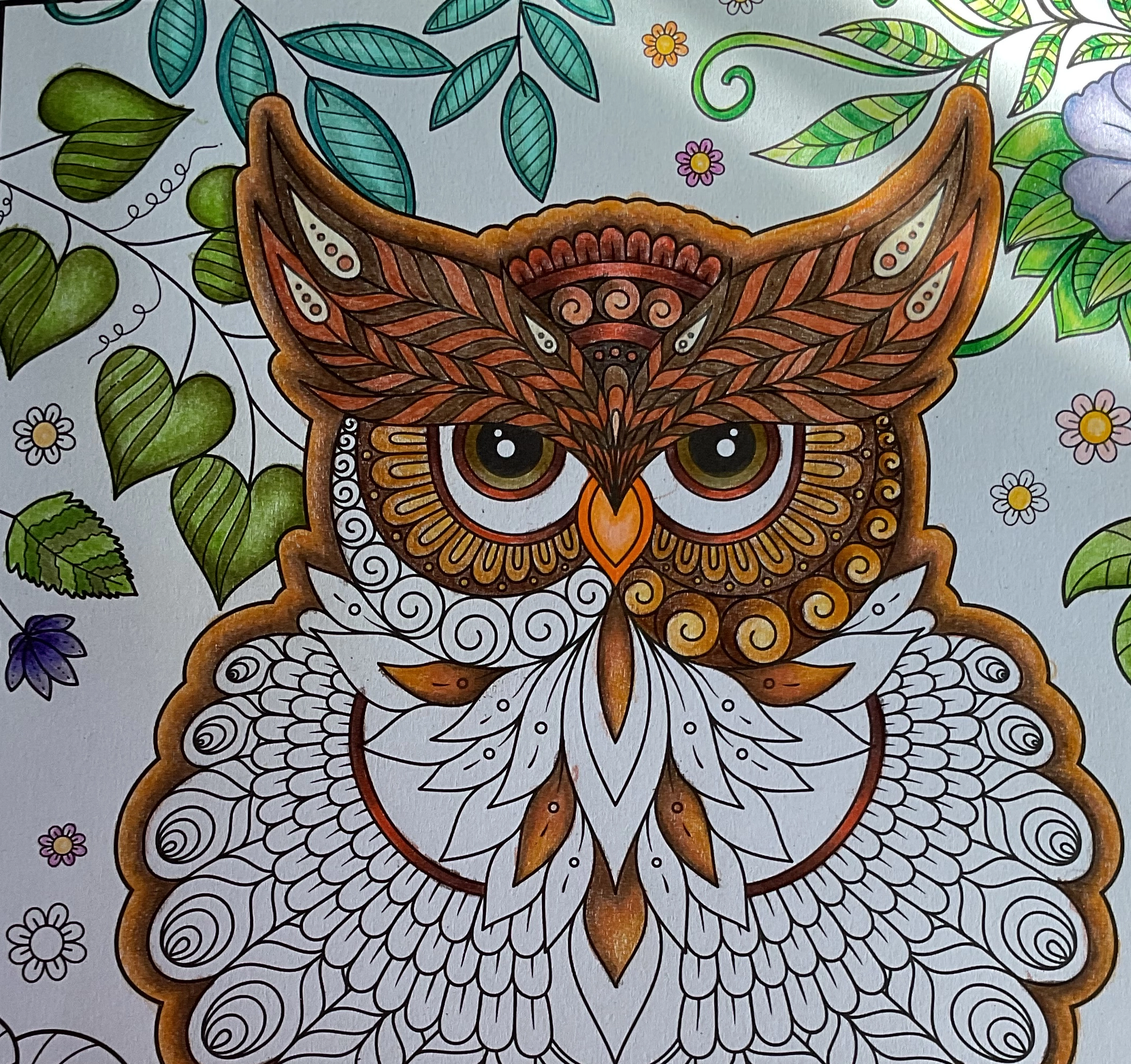 Coloring, Crochet and Flares, Oh my!